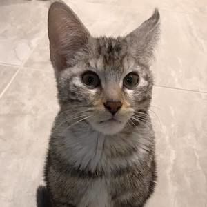 Meet your Posher, Jay